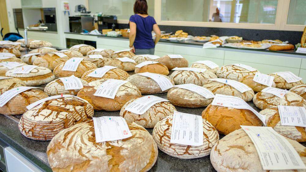 212 Brote wurden bei der Landesbrotprämierung eingereicht