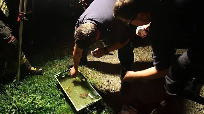 Das Wasser wurde getestet