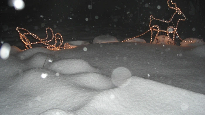 28. November 2010: Früher Schnee