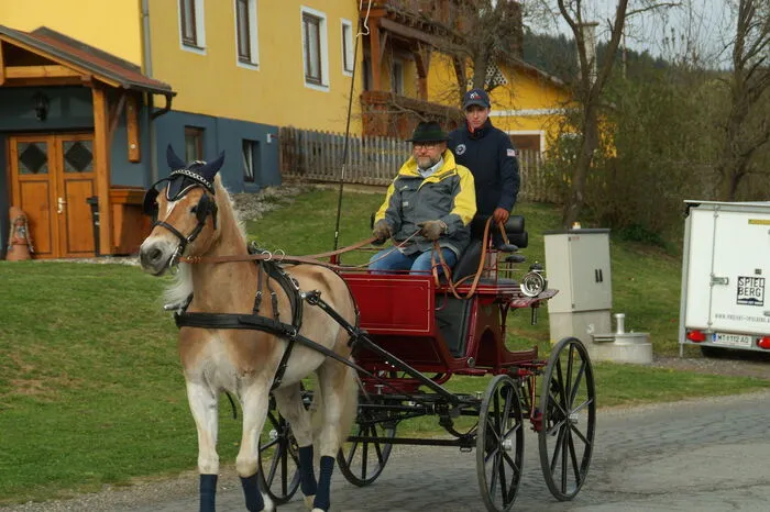 Theoretisch und praktisch mussten die Prüflinge die Aufgaben der Richter und Prüfer Hubertus Thunhart und Franz Mosshammer vom Landesfachverband für Reiten und Fahren bestehen.