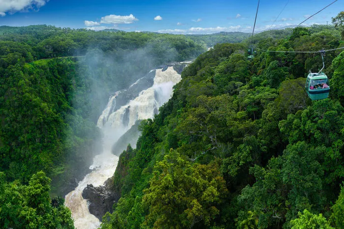 Eine einmalige Aussicht auf den Daintree Rainforest haben Touristen von den Skyrail-Gondeln aus. Diese Highlight nahe der Stadt Cairns bietet Einblicke in die gut gehüteten Geheimnisse des Regenwaldes.