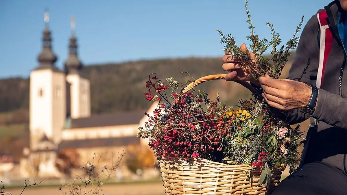 Rund um das Gurktal lassen sich von Freitag bis Sonntag Kräuter mit allen Sinnen erleben 