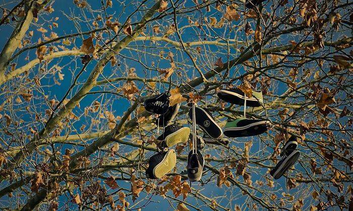 Statt mit Christbaumschmuck wird der Baum im Skatepark traditionell mit alten Schuhen geschmückt
