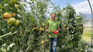 Harald Schwarz in einem seiner Tomatentunnel