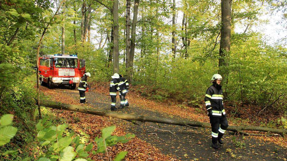 Die Feuerwehr von Dirnbach stand mit neun Kameraden im Unwetter-Einsatz