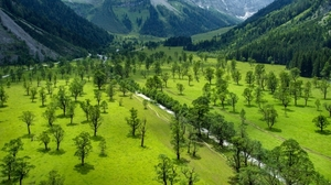 Der große Ahornboden in Tirol