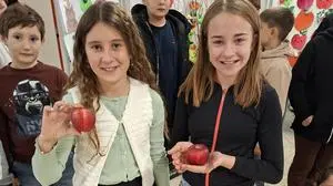 Apfelpower für die Schüler und Schülerinnen der MS Köflach 