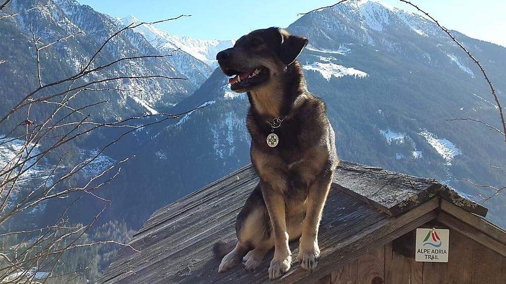 Lawinensuchhund Lucy spürte Montagabend die vermisste Frau auf