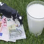 Der Milchpreis liegt zurzeit besonders tief
