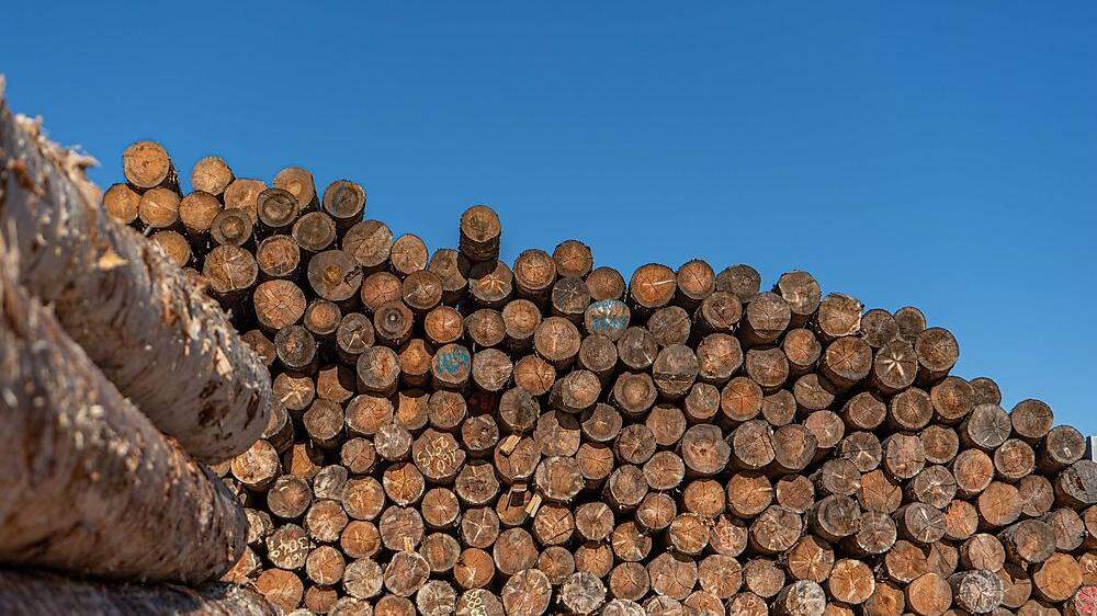 Das Unternehmen war auf den Einzel- und Großhandel mit Holz vor allem in Italien spezialisiert 