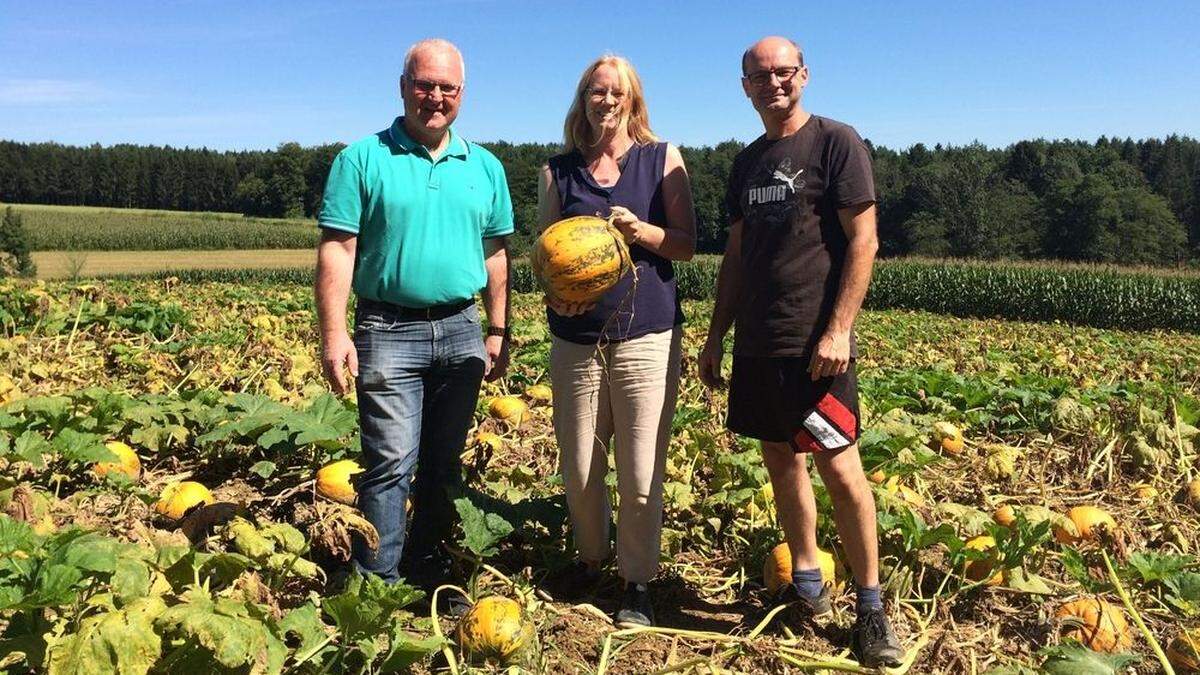 Wolfgang Neubauer, Isabella Kolb-Stögerer und Hannes Obendrauf von der Modell-region