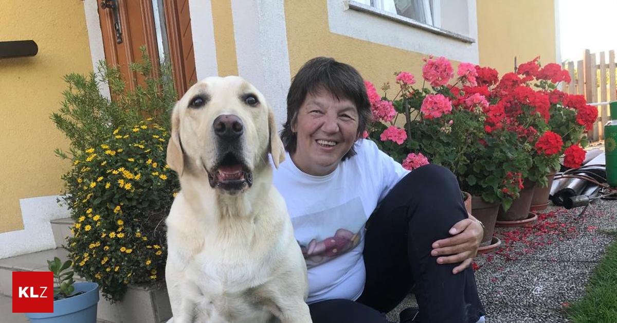 Blindenhund-vergiftet-Mir-wurden-ein-treuer-Freund-und-die-Freiheit-genommen-