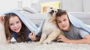 Experten sagen: Hunde und Katzen können sich nicht mit dem Virus anstecken. Trotzdem gibt es ein paar Dinge, die du beachten solltest