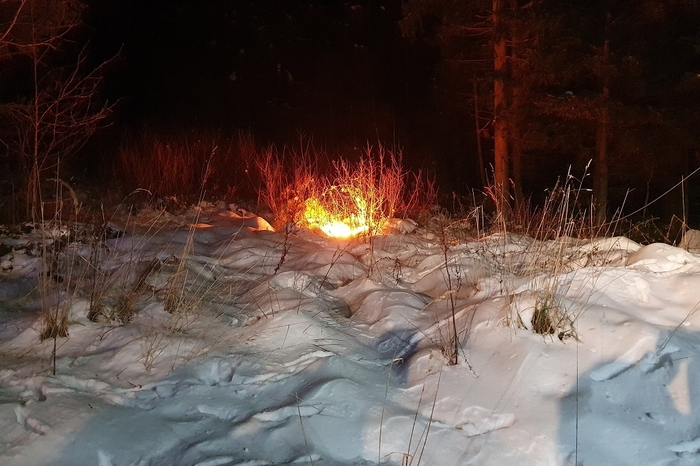 ... Infolgedessen fingen etwa 20 bis 30 Quadratmeter Waldfläche Feuer.