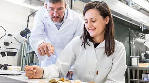 Mehlwürmer als Proteinquelle der Zukunft: Forschungsprojekt an der FH Joanneum