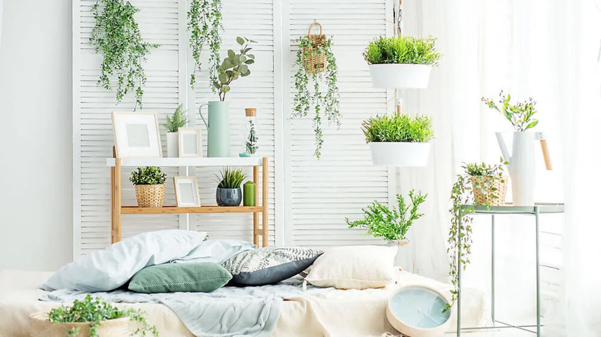 Pflanzen sind eine Augenweide, will man aber die Raumfeuchtigkeit erhöhen, greift man besser zu großblättrigen Exemplaren