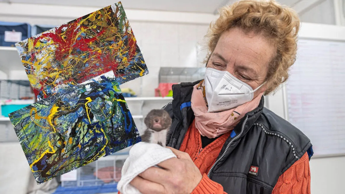 Monika Großmann und der Verein "Kleine Wildtiere in Not" sucht Käufer für die Bilder aus dem Nachlass des verstorbenen Grazer Tierarztes Helmut Hotter