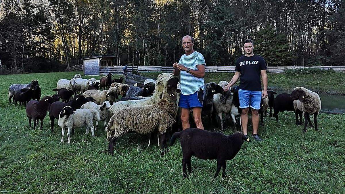 Schafbauer Hansi Hanser hat mit Sohn Markus vor vierzehn Tagen seine Schafe abgetrieben