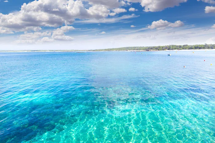 Nein, das ist nicht die Karibik, sondern der Strand Platja Es Trenc im Süden der Insel. Er ist der längste Naturstrand der Insel. Empfehlenswert sind außerdem der Strand von Cala Torta bei Arta oder die Cala Mesquida nahe Capdepera inmitten einer Dünenlandschaft.