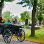 Der schönste Ort für eine Fiakerfahrt: der Wiener Zentralfriedhof