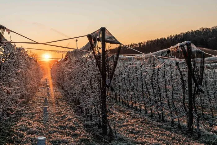 Weitere Bilder von Montagfrüh
