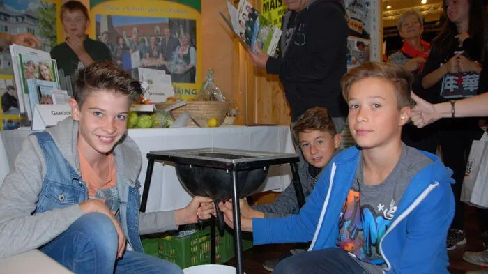 Die Schüler können an den Info-Ständen auch Hand anlegen