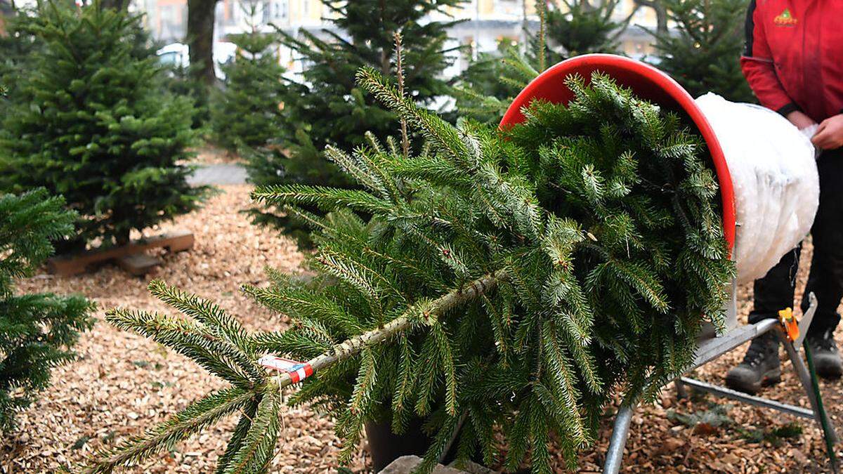 Die Frau wollte als Christbaum-Verkäuferin arbeiten