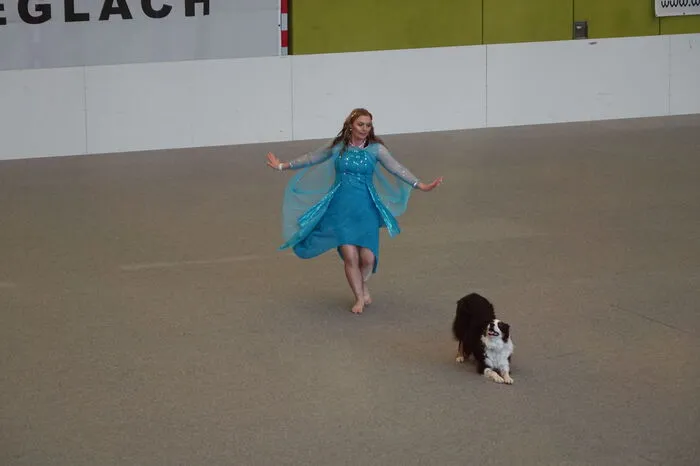 Auf das Taktgefühl von Hund und Tänzer kommt es an.