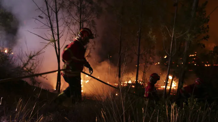 Knapp zwei Monate nach den verheerenden Bränden mit 64 Toten in der Region Pedrogao Grande halten brennende Wälder in Portugal die Feuerwehr in Atem.