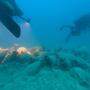 Vollständig erhaltenes Schiffswrack mit Amphoren entdeckt