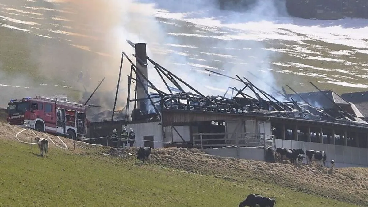 Das abgebrannte Stall in St. Kathrein am Offenegg