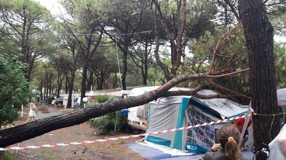 Auf einem Campingplatz in Cavallino stürzten mehrere Bäume um. 