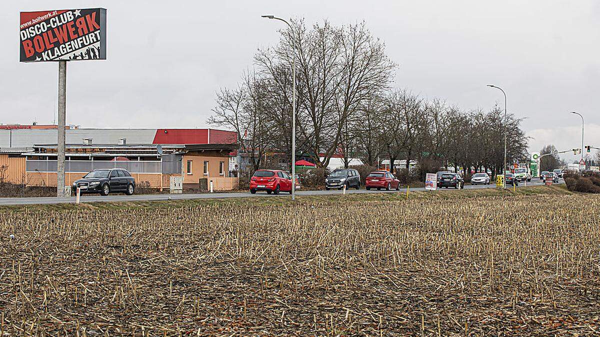 Der Täter hat seine Opfer auf diesen Maisacker nahe einer Großdiskothek in Klagenfurt gezerrt