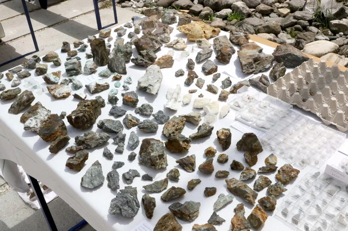 Tausend Mineralien und Kristalle konnten im Fürstenhof sowohl bewundert als auch erworben werden. 