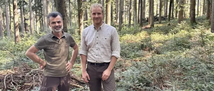 Dietmar Forstner, Leiter des Forstfachreferats der BH Leibnitz und Bezirksförster Erwin Pichler in einem Positivbeispiel bei Heimschuh: Naturverjüngung und gezielte Pflege sorgen hier für einen stabilen, vielfältigen Waldbestand