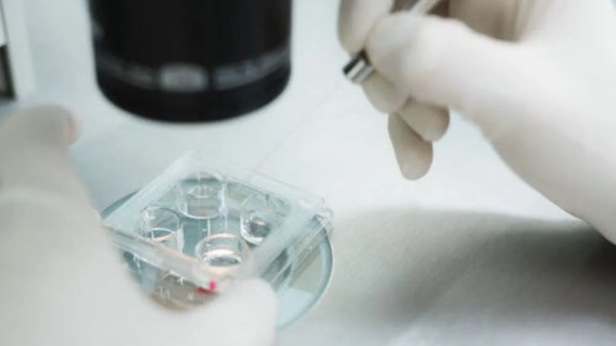 Bei der künstlichen Befruchtung dürften Eizellen vertauscht worden sein