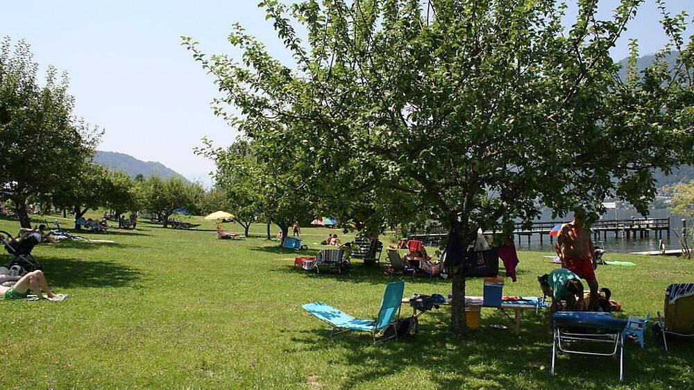 Am Ossiacher See können Badegäste den Schatten von Bäumen kaufen