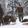 360 Rotwildfütterungen gibt es im Land, auch wenn derzeit nur in der Obersteiermark Schnee liegt