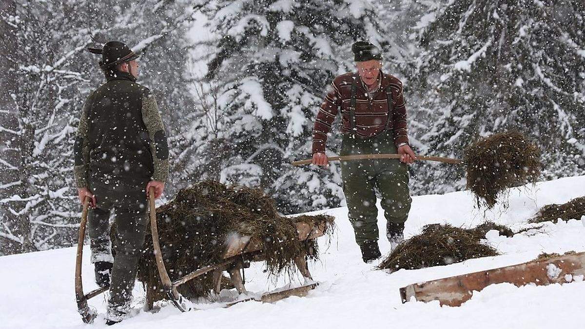 360 Rotwildfütterungen gibt es im Land, auch wenn derzeit nur in der Obersteiermark Schnee liegt