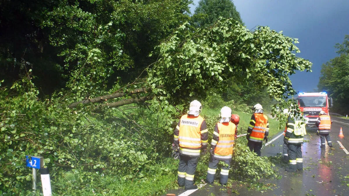 Im Bezirk Deutschlandsberg musste die Feuerwehr zu 25 Einsätzen ausrücken 