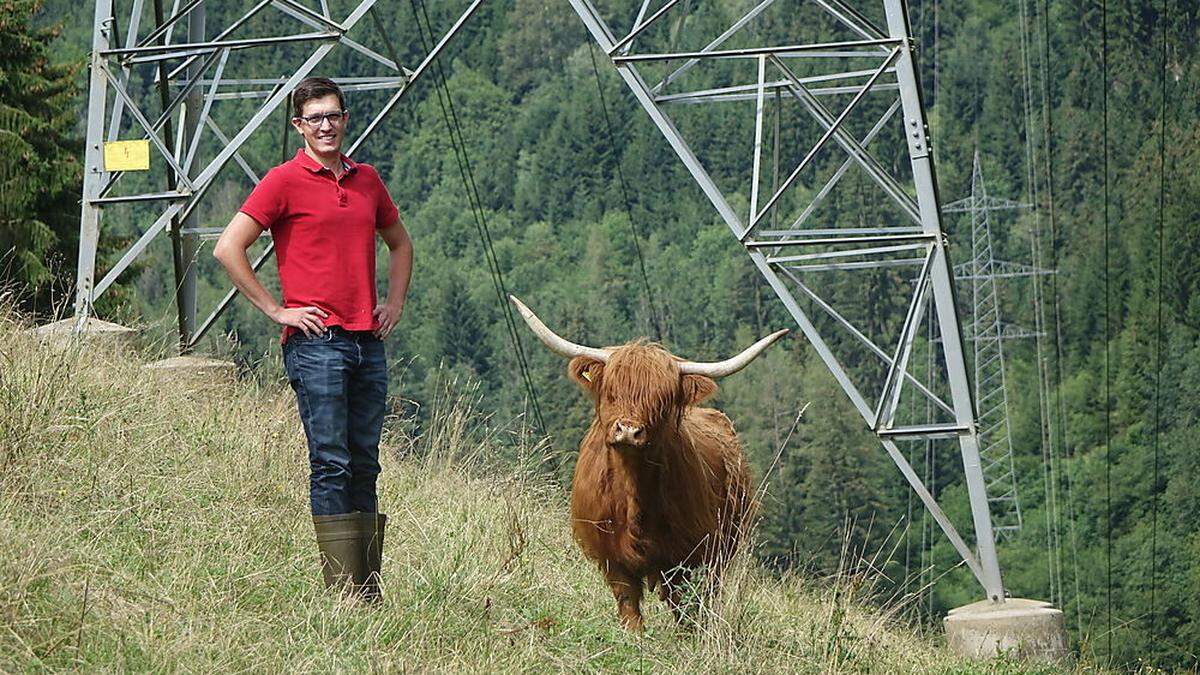 Philipp Maier züchtet in St. Dionysen in der Gemeinde Bruck Schottische Hochlandrinder