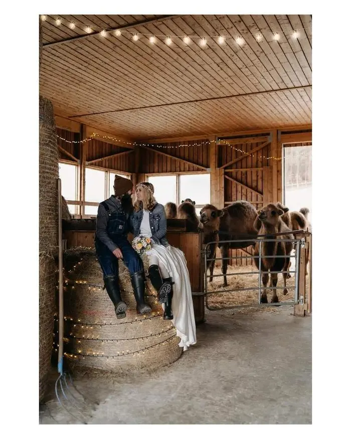 Heimlich und heimelig im eigenen Stall