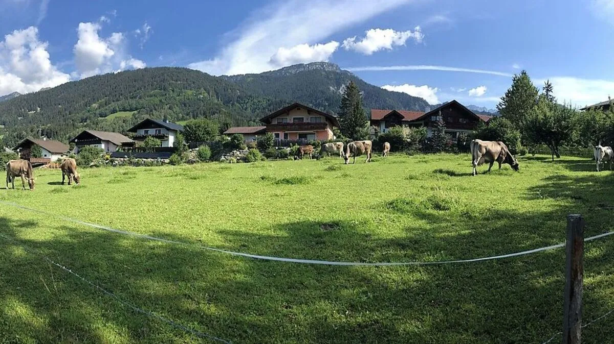 Dort, wo heute noch die Kühe des benachbarten Bauers grasen, sollen bald zwei Häuser mit 15 Wohnungen und Tiefgarage stehen
