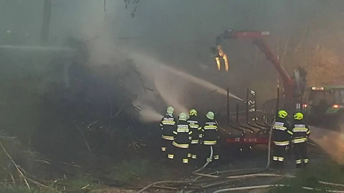 Eine Stunde lang wurde der Brand bekämpft