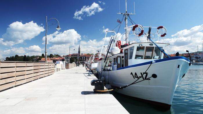 Der Hafen von Izola liegt unweit der Altstadt und ist Ausgangspunkt für zahlreiche Bootsausflüge