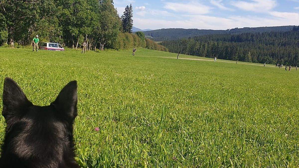 Fieberhaft suchten 300 Helfer nach der Vermissten