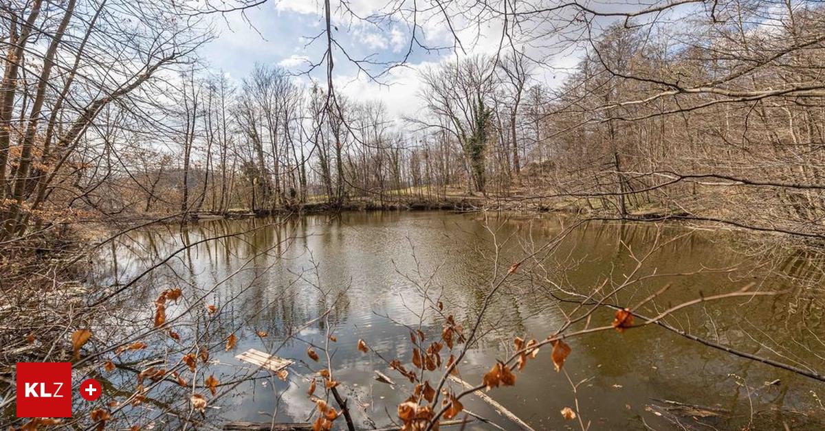 Naherholungsgebiet Teiche am Grazer Rosenhain stinken den Spaziergängern
