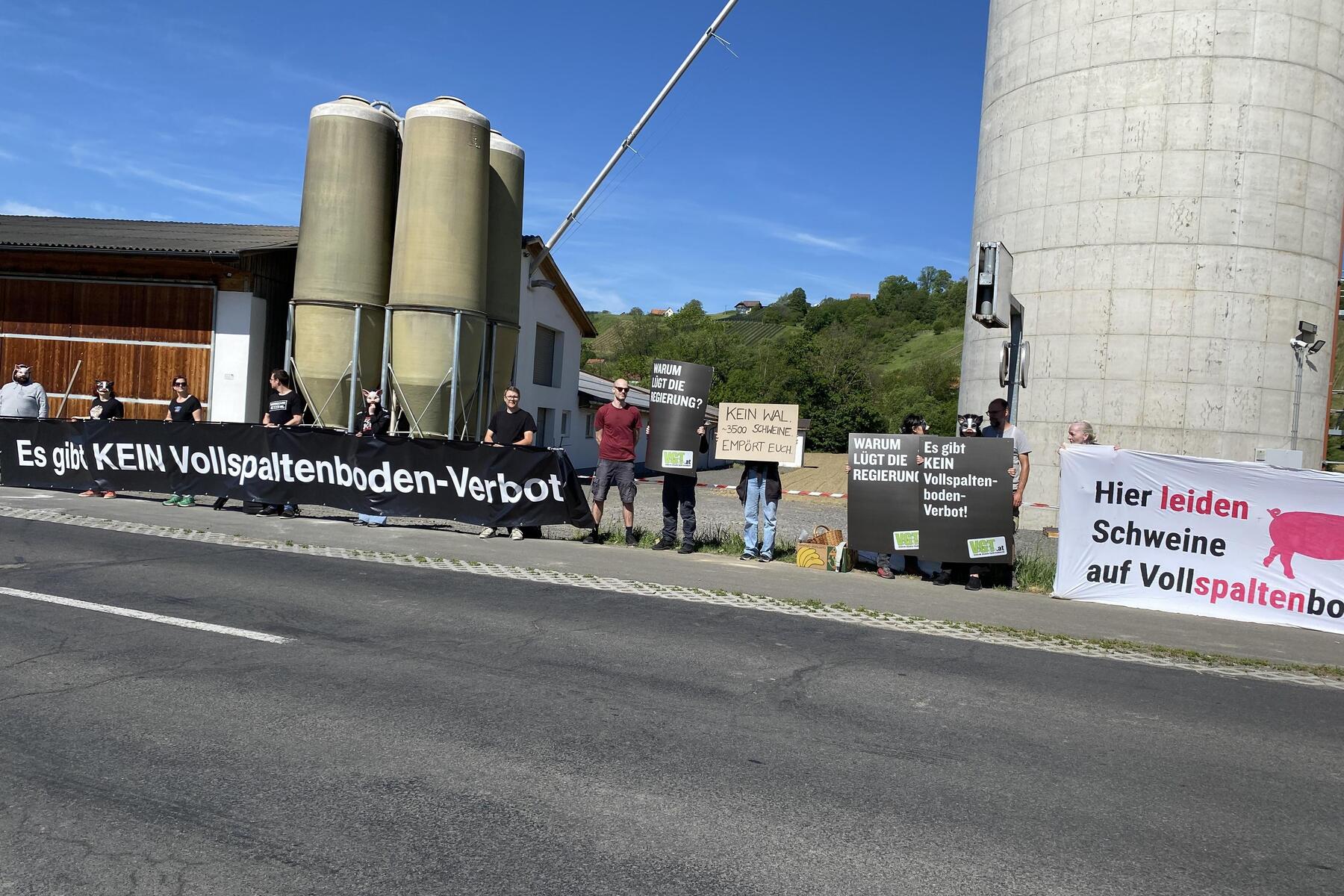 Tierschützer demonstrieren vor südoststeirischem Schweinemastbetrieb
