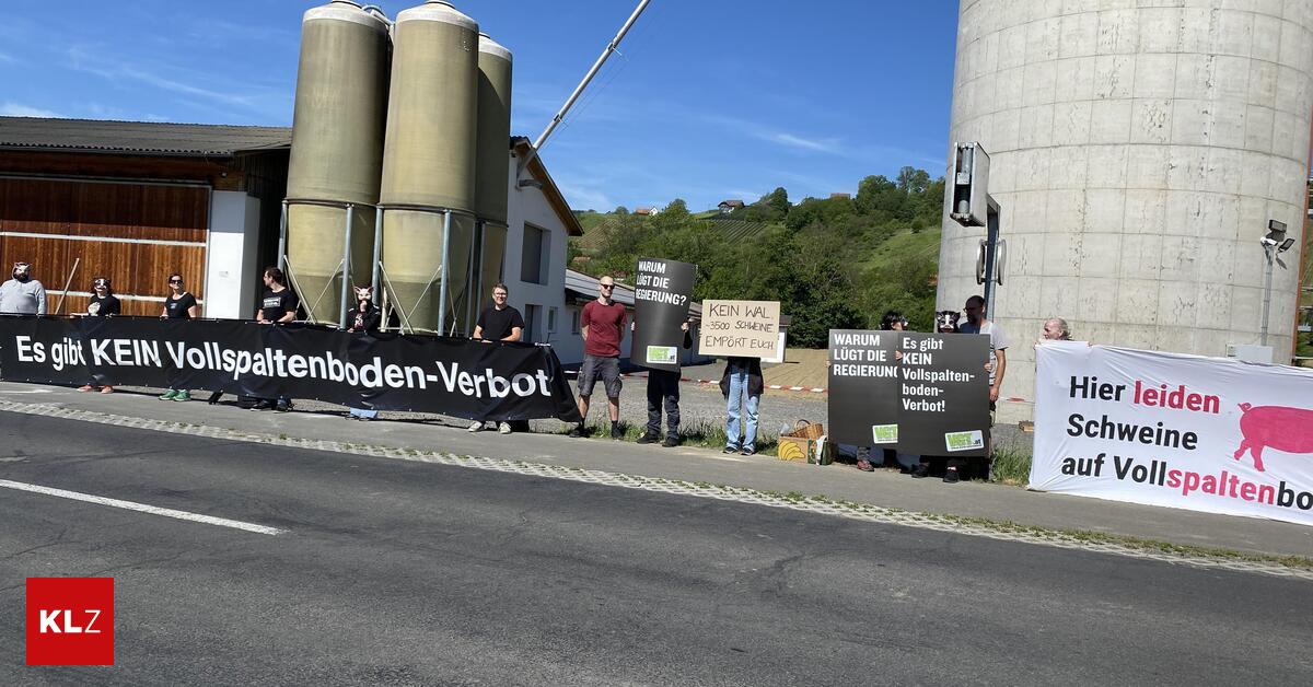Tiersch-tzer-demonstrieren-vor-s-doststeirischem-Schweinemastbetrieb