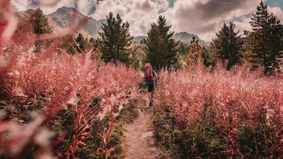 Grenzüberschreitender Weiteanderweg am Westbalkan ist bestes europäisches Tourimusprojekt